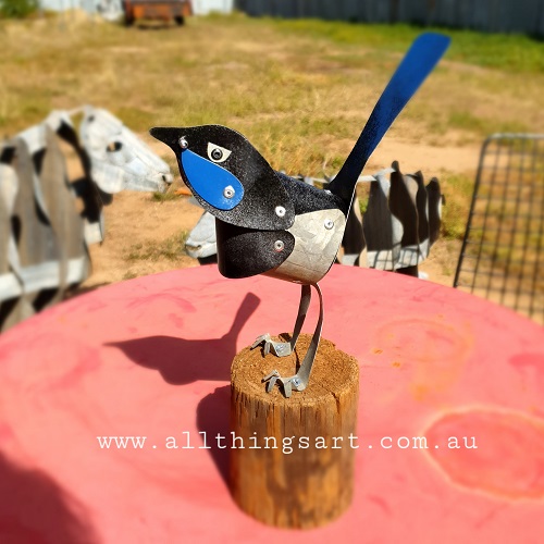 blue wren