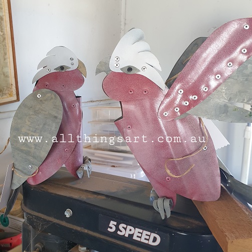 galah